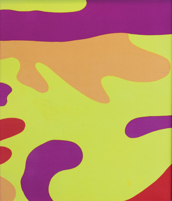 Warhol - Camouflage